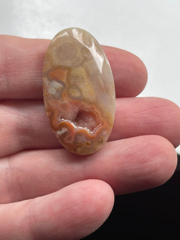 Petrified Coral Cabochon with Druzy Pocket - 36 x 20 x 6