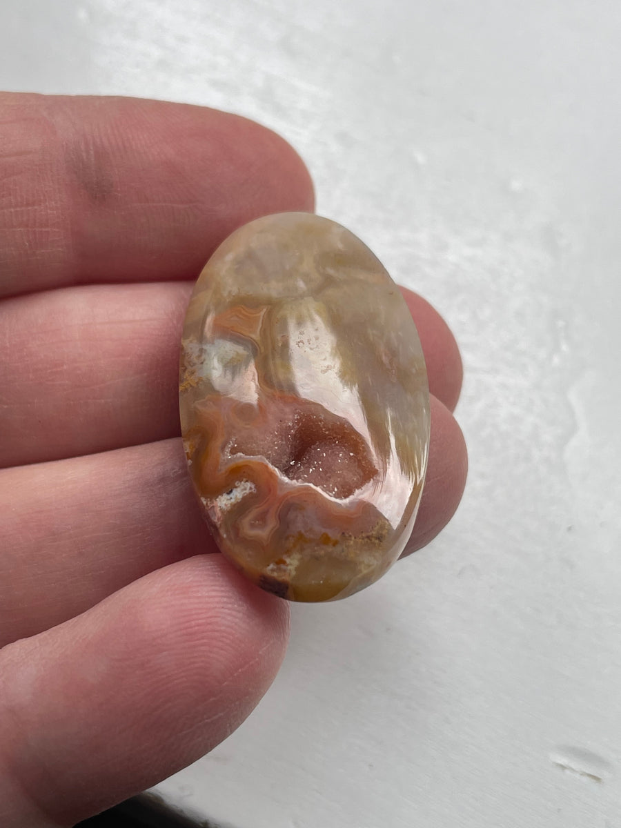 Petrified Coral Cabochon with Druzy Pocket - 36 x 20 x 6