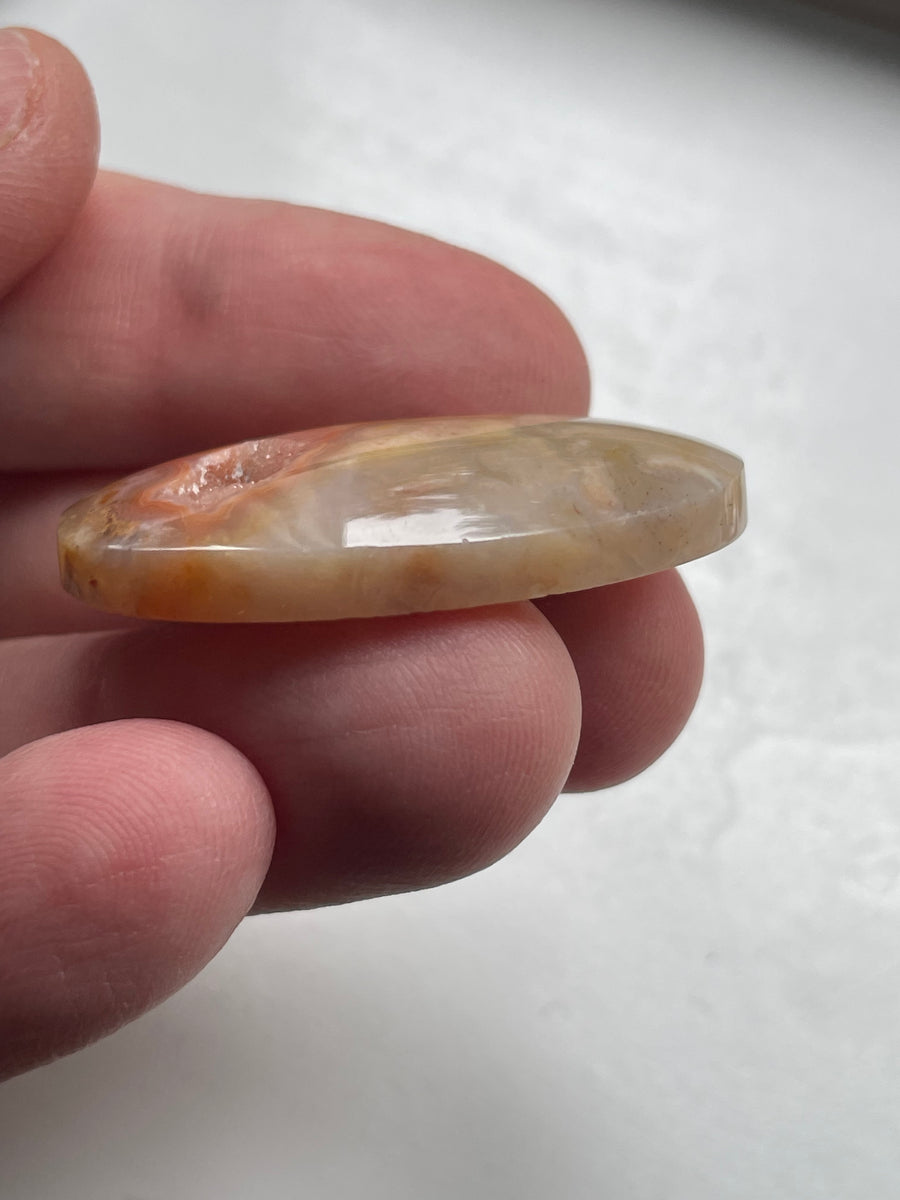 Petrified Coral Cabochon with Druzy Pocket - 36 x 20 x 6