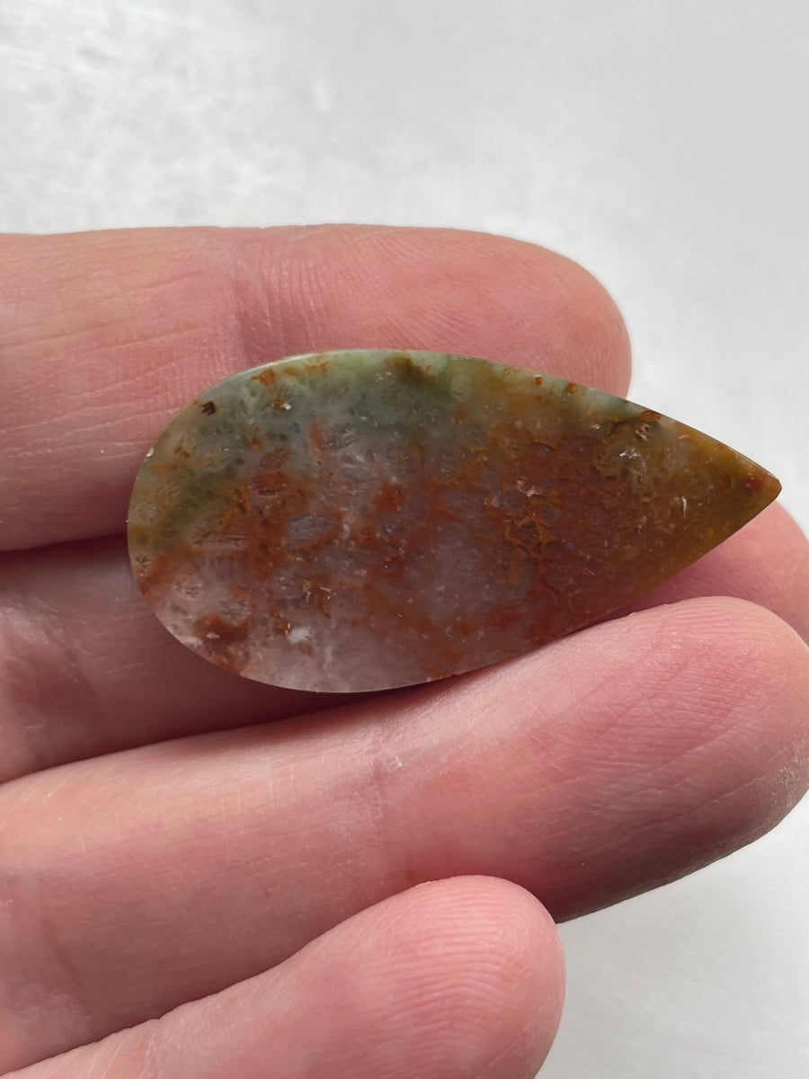 Multicolor Fossil Agate Teardrop Cabochon 19 x 34 x 6