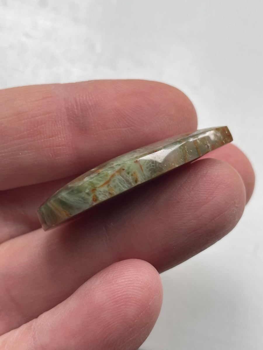 Multicolor Fossil Agate Teardrop Cabochon 19 x 34 x 6